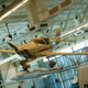 Illustration for article titled Paine Field